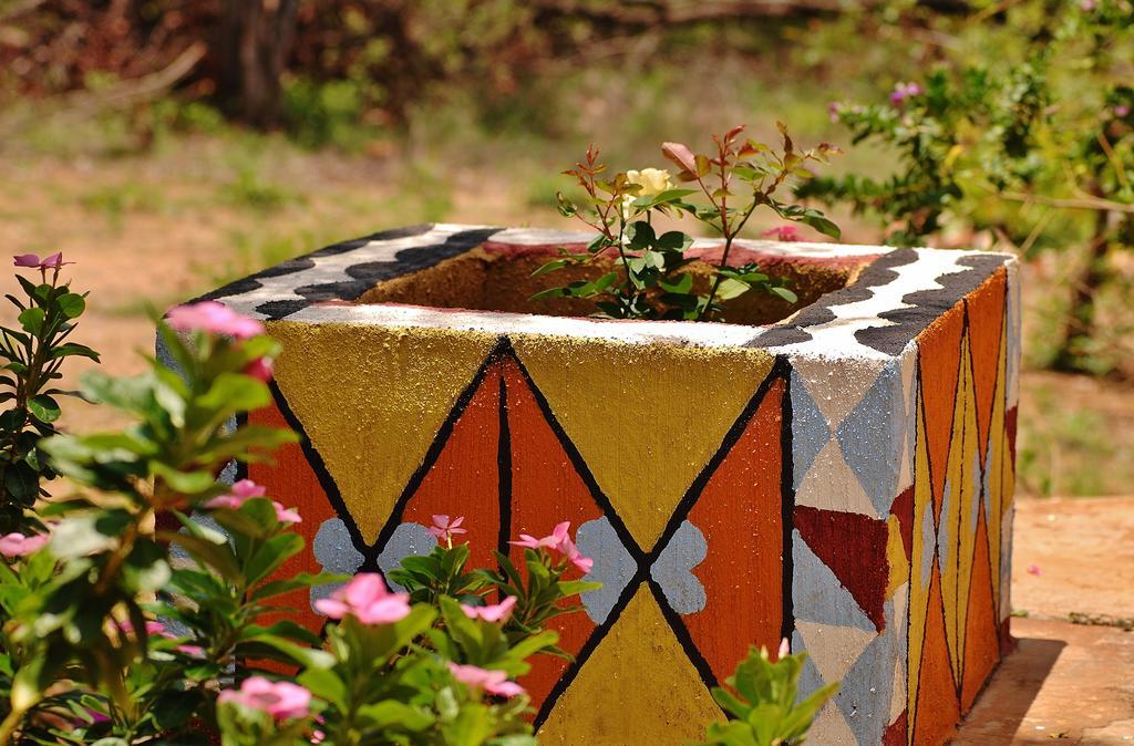 Silonque Bush Estate And Spa Phalaborwa Extérieur photo