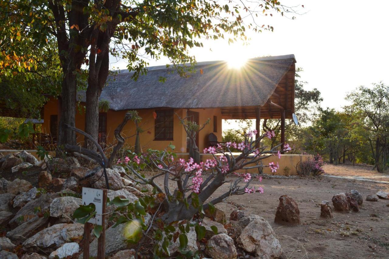 Silonque Bush Estate And Spa Phalaborwa Chambre photo